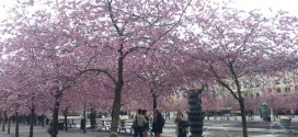 Kungsträdgården, Norrmalm